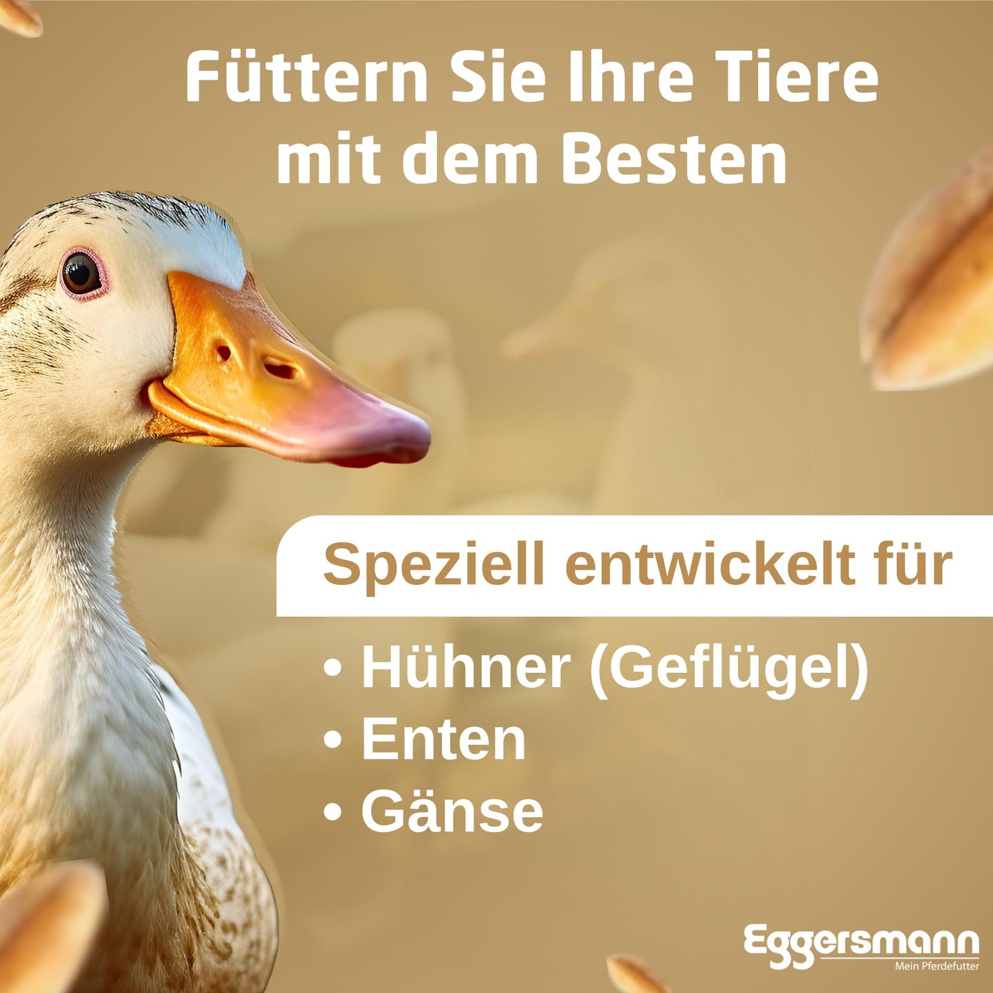 Eggersmann Körnerpick Hühnerfutter 25 kg – Premium Körnermischung für Hühner Gänse & Enten – Basic