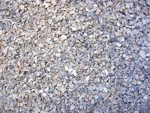 Ostrea Muschelschalenschrot 5 kg – Muschelkalk für Hühner